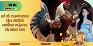 Đá Gà Campuchia - Tận Hưởng Những Trận So Tài Đỉnh Cao