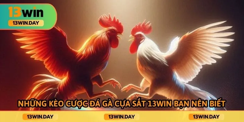 Những kèo cược đá gà cựa sắt 13WIN bạn nên biết