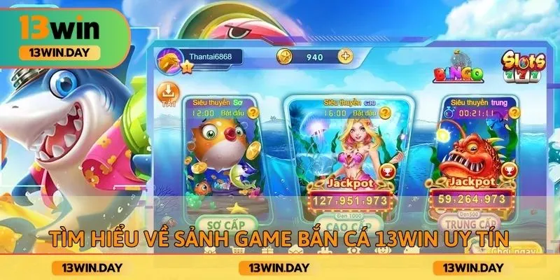 Tìm hiểu về sảnh game bắn cá 13WIN uy tín